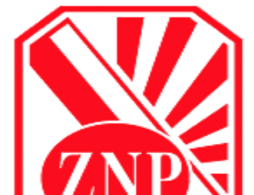 ZNP、红色、创意设计欣赏