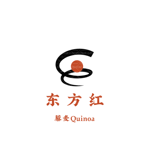 黑白logo设计