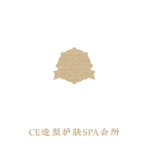SKCZlogo设计