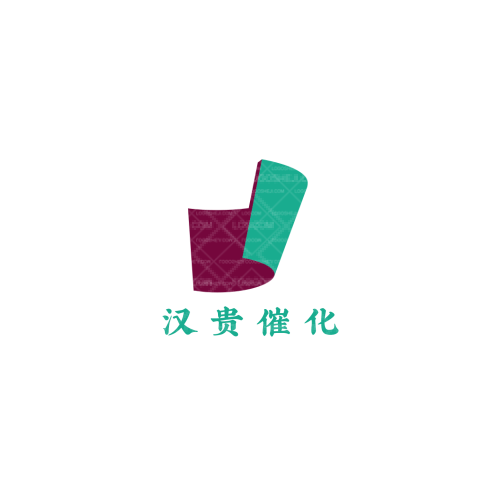 丽尽洗礼logo设计