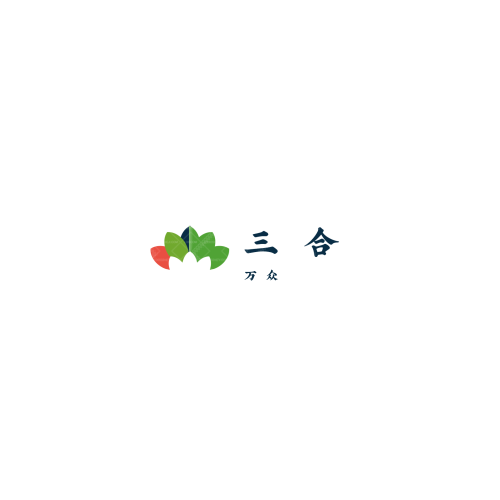 TOOLlogo设计