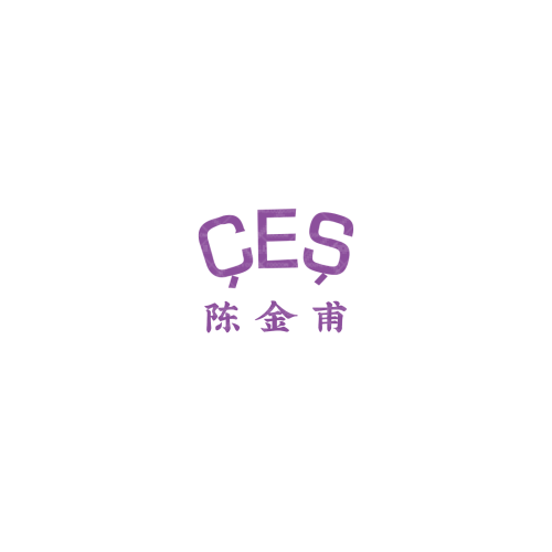 219旅游服务公司logo设计