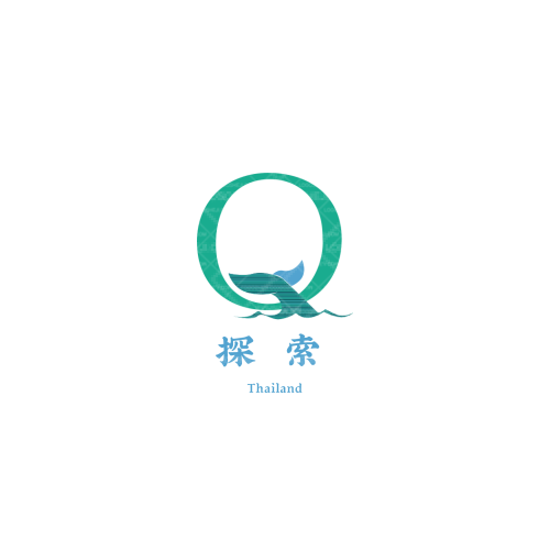 DYSYlogo设计