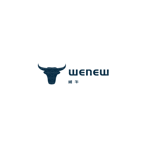 艾克凯胜logo设计