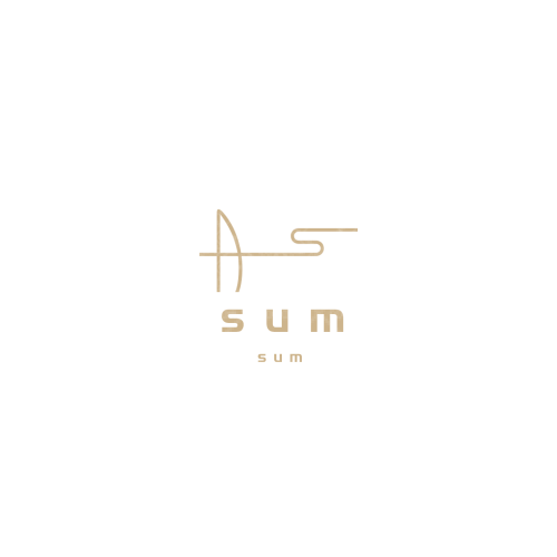 王国鑫logo设计