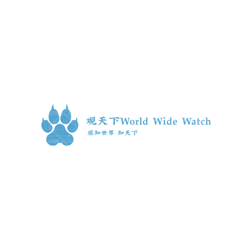 天美景观logo设计