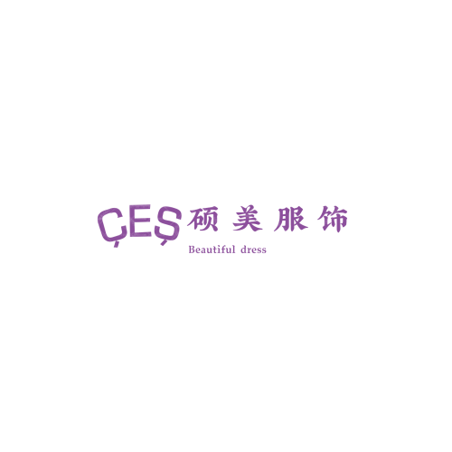 电信素拓logo设计