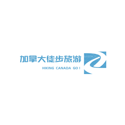 百安停logo设计