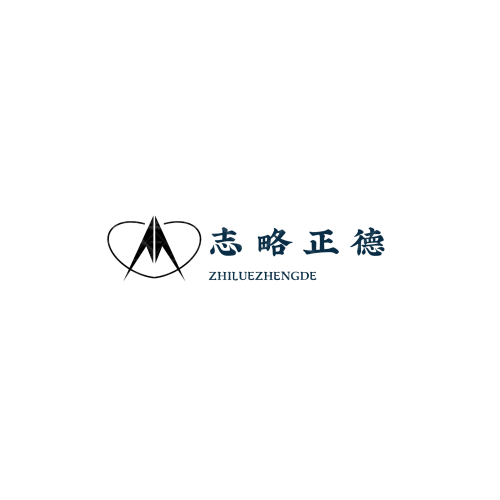小椰子自动发卡logo设计