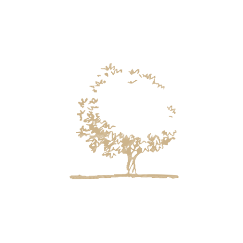 爱妮logo设计