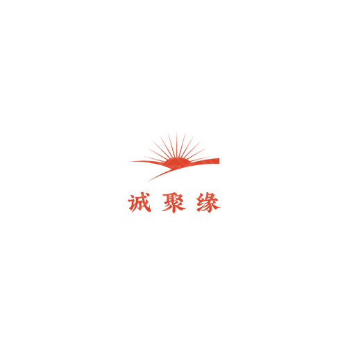 半龙电子logo设计