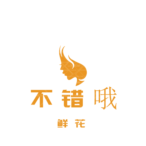 朋缘大盘鸡烩面logo设计