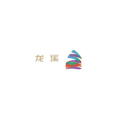 DYSYlogo设计
