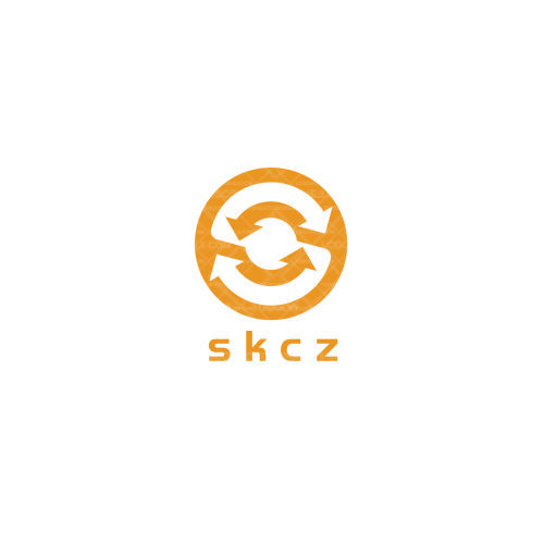 魏杰网络logo设计