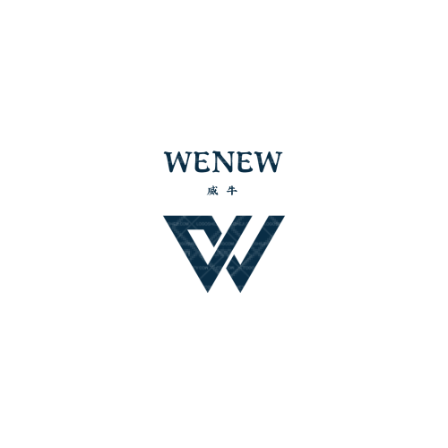 邓悟空间logo设计