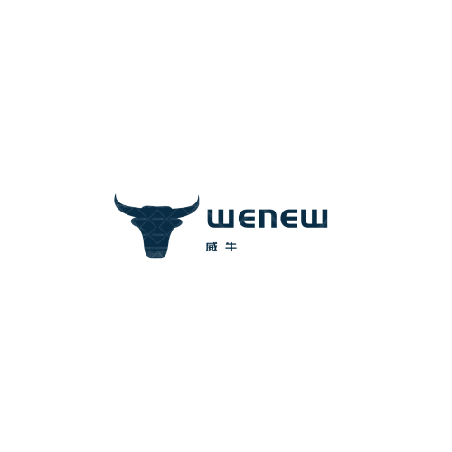 维路众兴logo设计