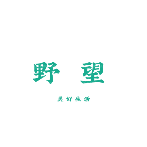 纯之美服务logo设计